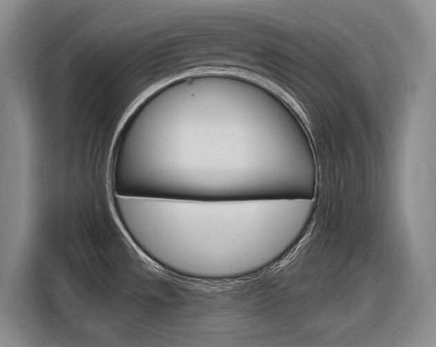 X0000116891533200912220954