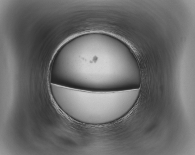 X0000116891534200912220954