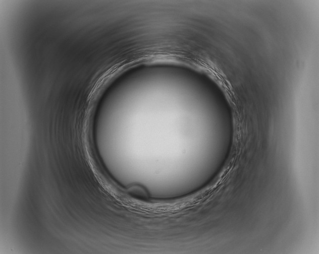 X0000116890001200912221502