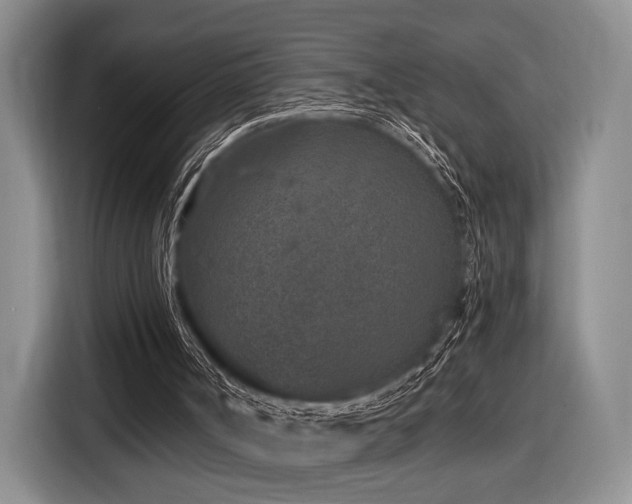 X0000116890002200912221502