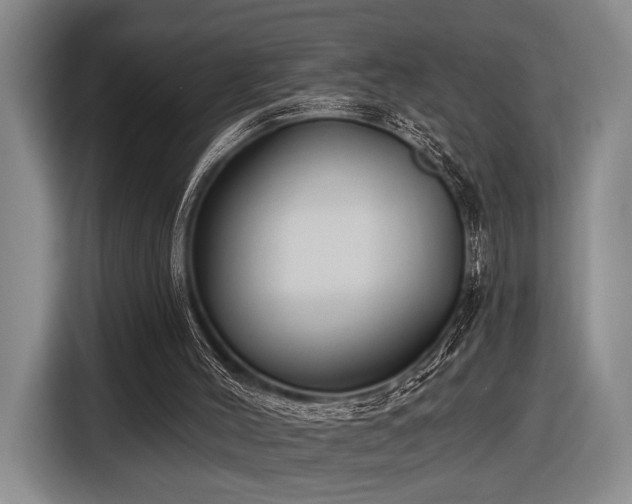 X0000116890004200912221502