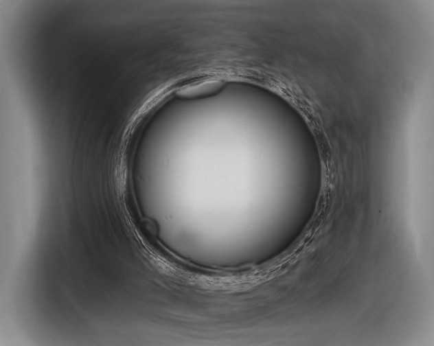 X0000116890005200912221502