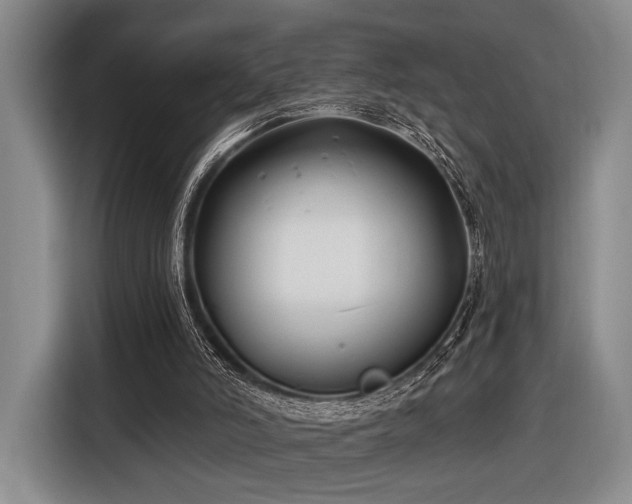 X0000116890006200912221502