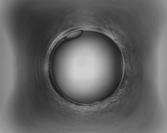 X0000116890007200912221502