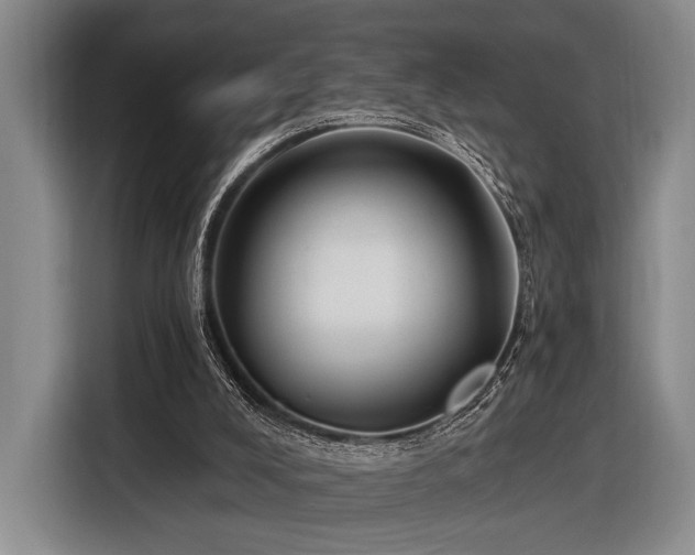 X0000116890008200912221502