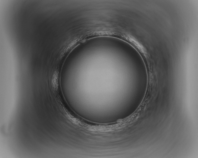 X0000116890009200912221502