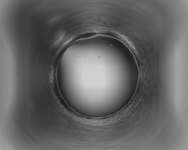 X0000116890010200912221502
