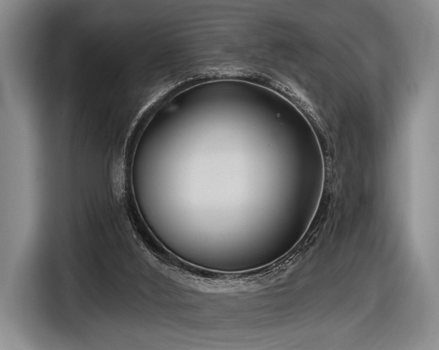 X0000116890012200912221502
