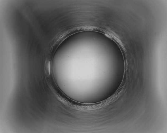 X0000116890013200912221502