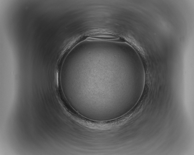 X0000116890014200912221502