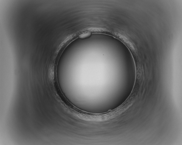 X0000116890015200912221502