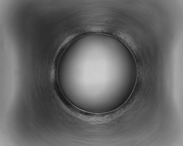 X0000116890016200912221502
