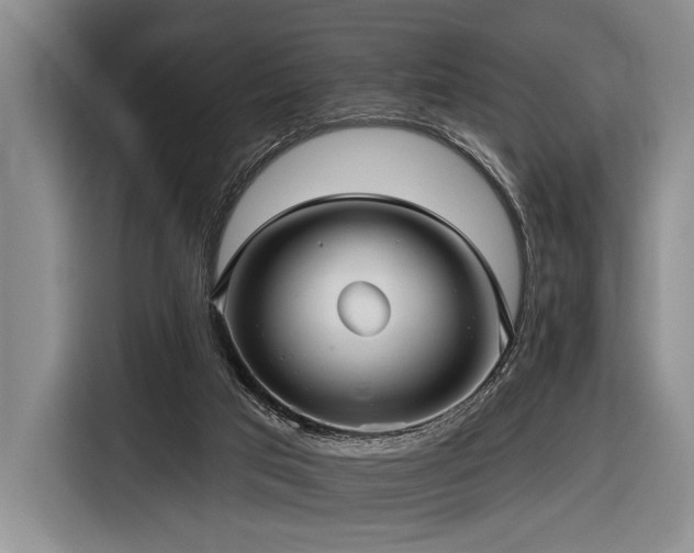 X0000116890017200912221502