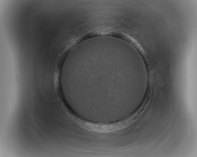 X0000116890018200912221502