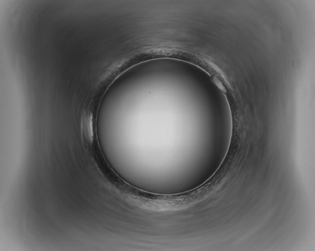X0000116890020200912221502