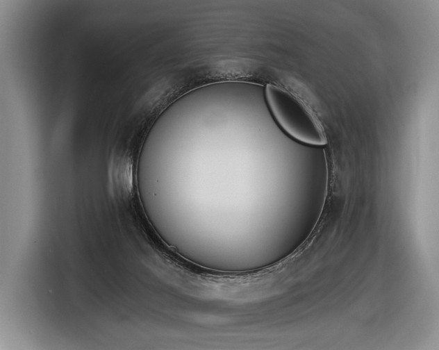 X0000116890021200912221502