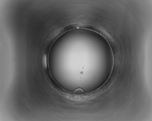 X0000116890022200912221502