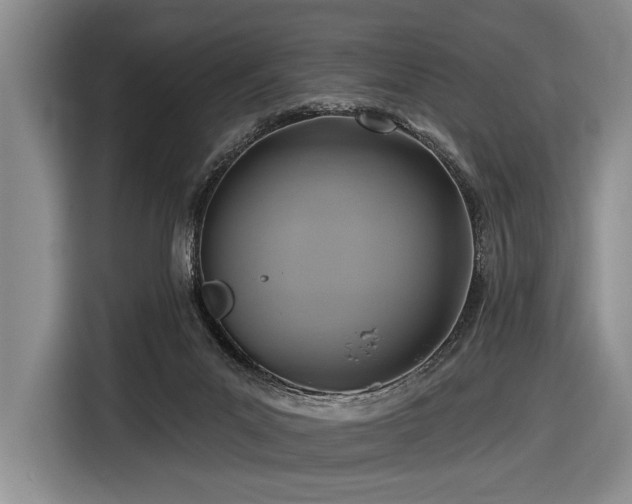 X0000116890023200912221502