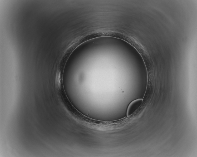 X0000116890024200912221502