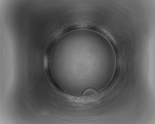 X0000116890026200912221502