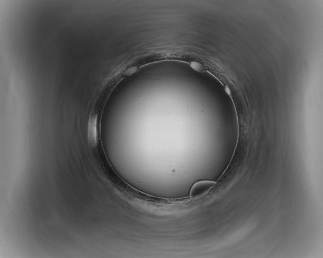X0000116890028200912221502