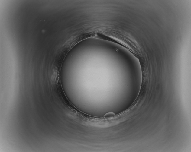 X0000116890029200912221502