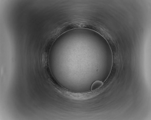 X0000116890030200912221502