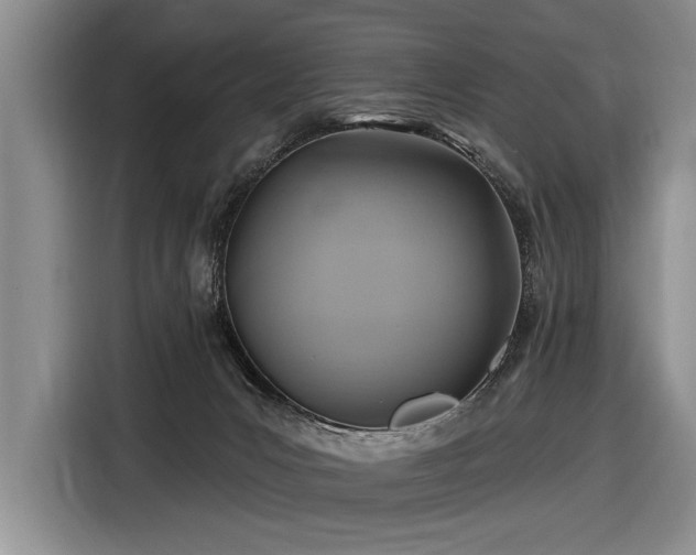 X0000116890031200912221502