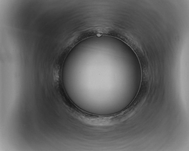 X0000116890032200912221502