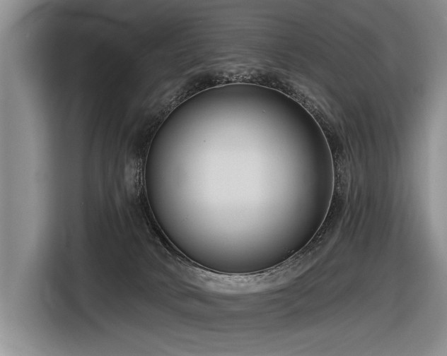 X0000116890034200912221502