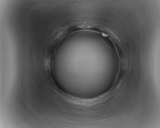 X0000116890035200912221502