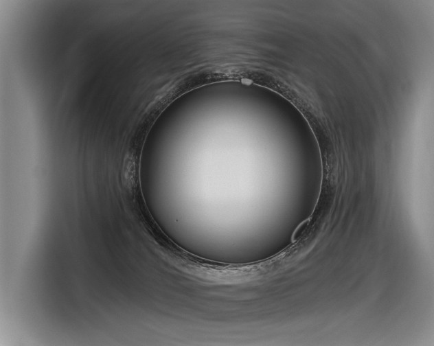 X0000116890036200912221502