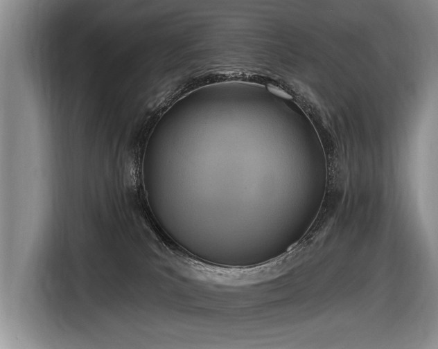 X0000116890039200912221502