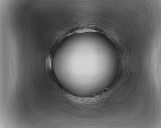 X0000116890042200912221502