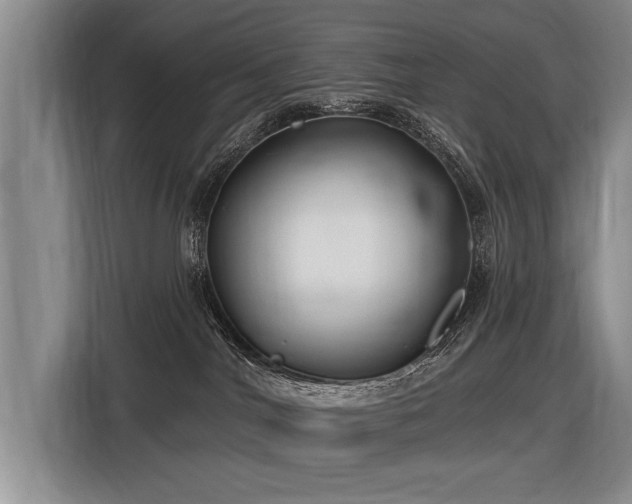X0000116890044200912221502