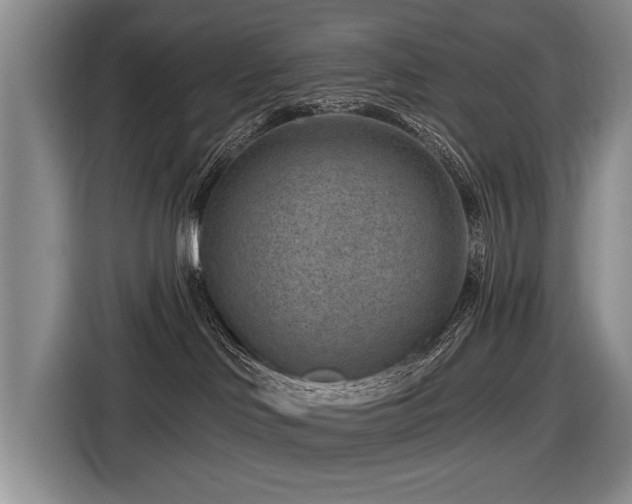 X0000116890046200912221502