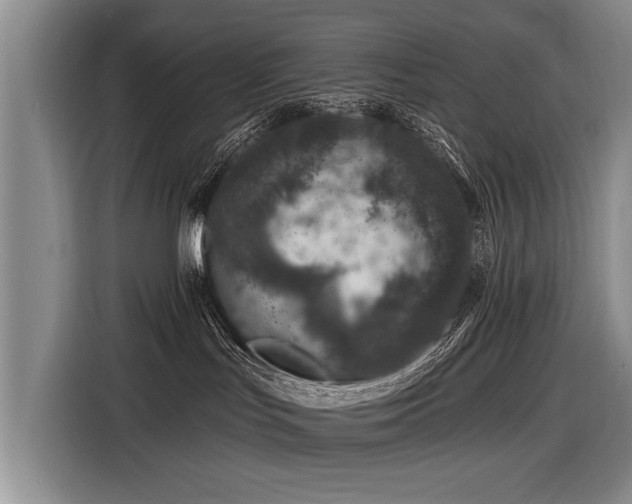 X0000116890047200912221502