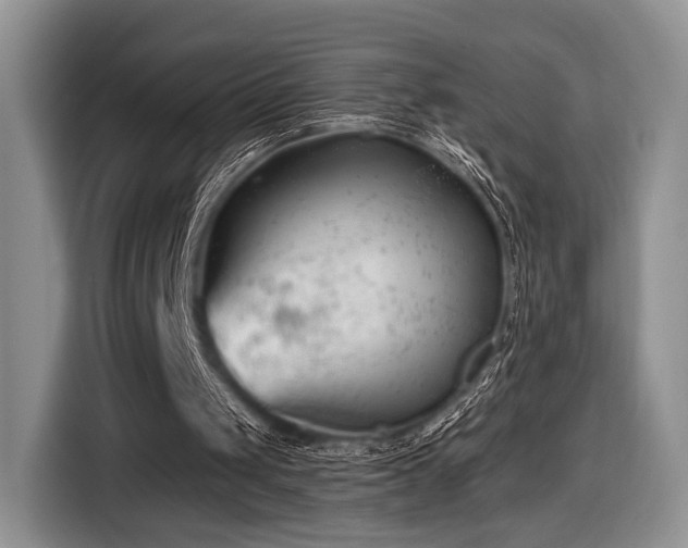 X0000116890049200912221501