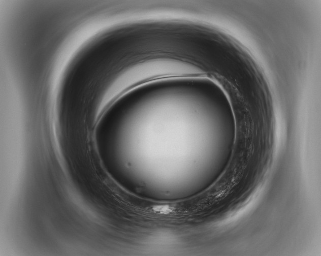 X0000116890050200912221501