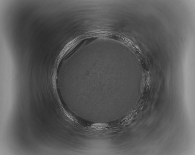 X0000116890051200912221501