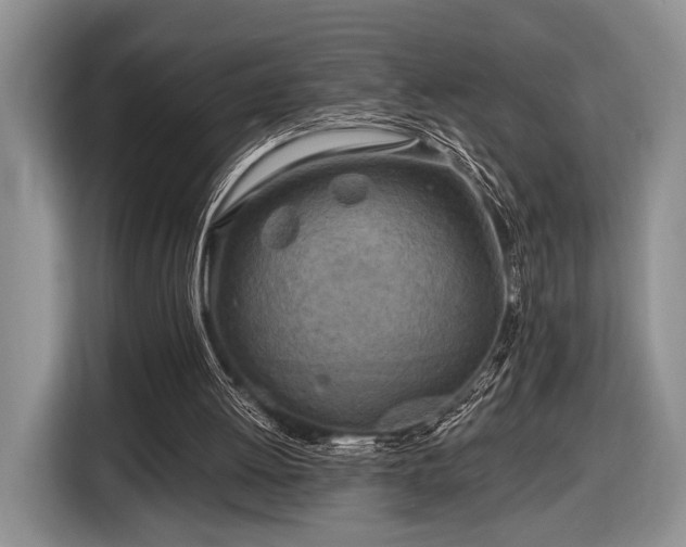 X0000116890052200912221501