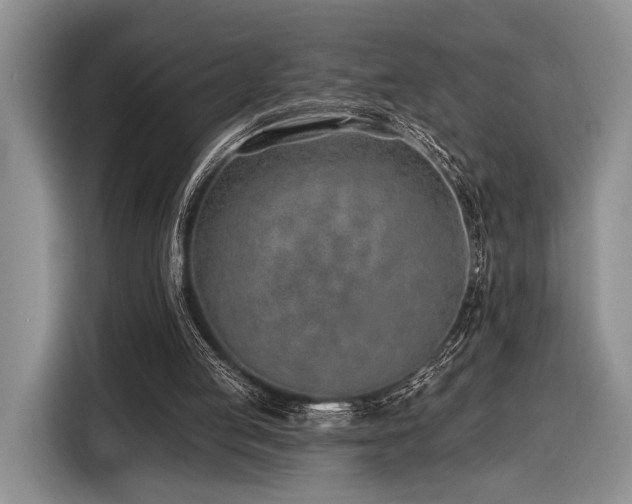 X0000116890053200912221501