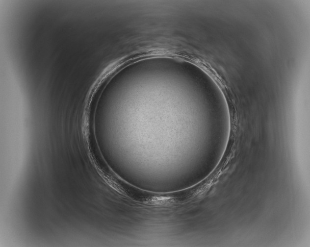 X0000116890055200912221501