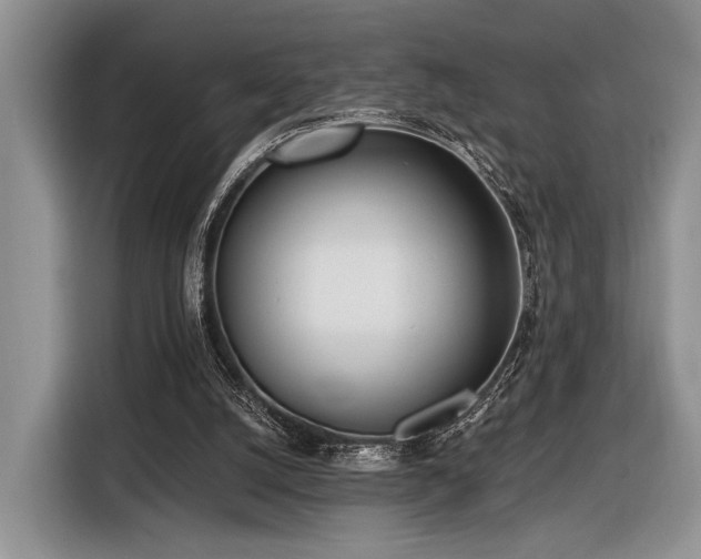 X0000116890056200912221501