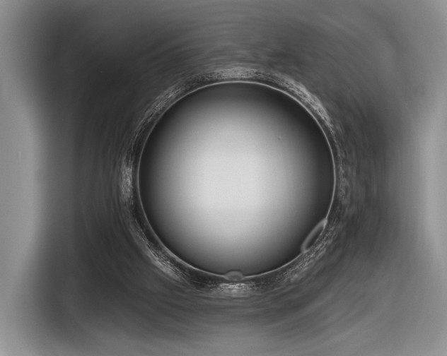 X0000116890057200912221501
