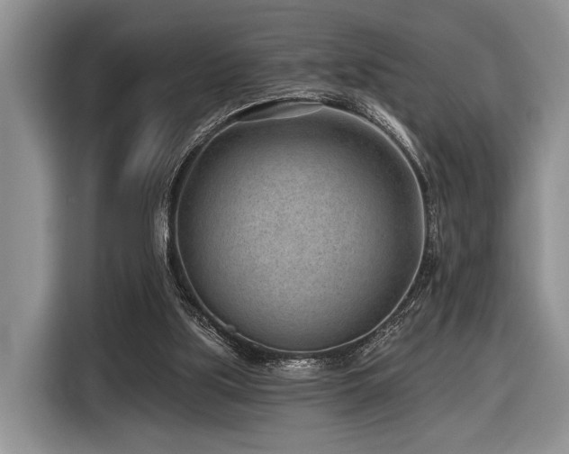 X0000116890059200912221501