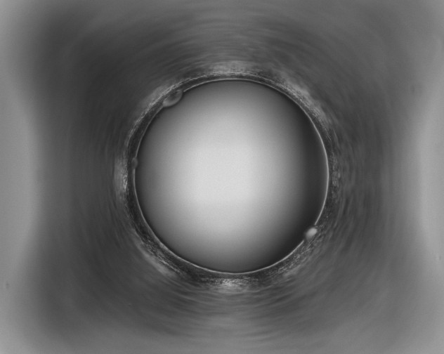 X0000116890060200912221501