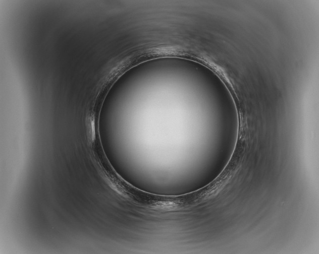 X0000116890061200912221501