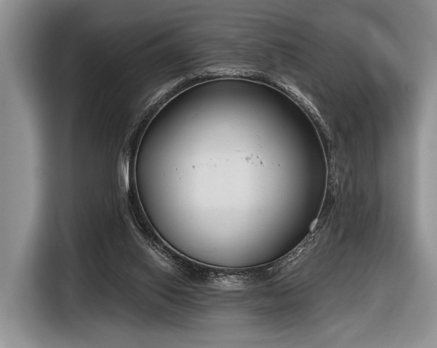 X0000116890062200912221501