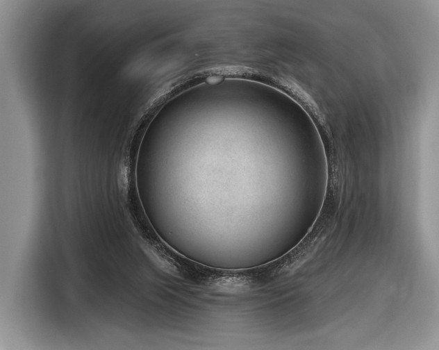 X0000116890063200912221501